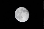 Ieri c'era la luna piena e me la sono persa per il cielo nuvoloso...questa sera ho aspettato che facesse il giro del palazzo e l'ho beccata.Non � perfettamente piena, ma ne sono soddisfatto.
Questa � "La mia Prima Luna..."
...
...
...
ovvero la prima che mi sia uscita abbastanza bene :P 
So che � uno scatto visto e rivisto, ma questo � il mio :D
Suggerimenti e critiche sono sempre ben accetti