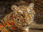 mosaico mosaico