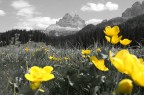 Misurina Misurina
