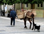 Camminando incontro alla sera. Camminando incontro alla sera.