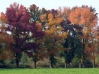 autunno 1 autunno 1