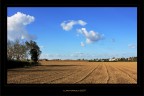 L'elefantino fra le nuvole.... L'elefantino fra le nuvole....