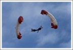 fly fly