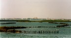 VALLI DI COMACCHIO... VALLI DI COMACCHIO...