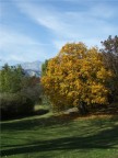 parco zell parco zell
