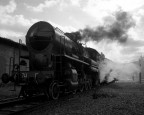 Treno Treno