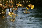sull'acqua sull'acqua