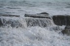 acqua...o latte?:-) acqua...o latte?:-)