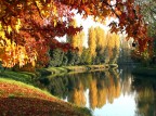 Colori d'Autunno Colori d'Autunno