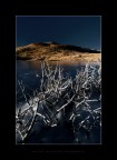 Phase of Freezing Phase of Freezing