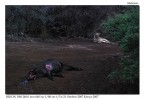 La legge della natura La legge della natura