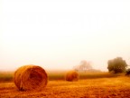 .....autunno.... .....autunno....