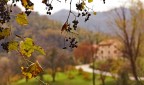 Attraverso le gocce