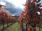 Paesaggio Autunnale Paesaggio Autunnale