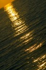 Il solito sole e il solito mare... Il solito sole e il solito mare...