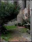 Corte fiorita