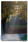 Autunno.... Autunno....