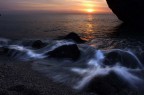 alba alba