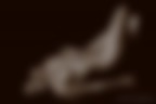 Nudo 11 Nudo 11