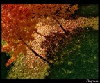 Autumn pt.1 Autumn pt.1