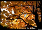 Autumn pt.3 Autumn pt.3