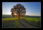 lumi dalla natura lumi dalla natura