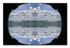 mirror mirror mirror mirror