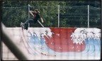 skateboarding - primi esperimenti skateboarding - primi esperimenti