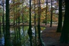 Passeggiata autunnale nel parco