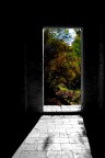 Porta per il mondo dei colori Porta per il mondo dei colori