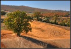 Toscana Toscana