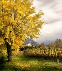 Autunno in Franciacorta
