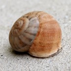 Continua il mio training con la mia nuova reflex. Consigli e critiche sempre ben accetti :D