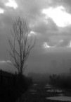 nebbia di un mattino d'autunno nebbia di un mattino d'autunno
