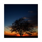 THE COLOURS OF THE EARTH 10