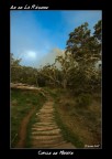 Sentiero per La Nouvelle nel Circle di Mafate Isola di R�union.
Foresta di tamarindi a quota 1500 metri le nuvole stavano coprendo tutto ne giro di poco ci siamo trovati nella nebbia.
Pentax K10D Pentax 14mm