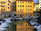 Livorno tipica Livorno tipica