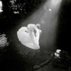 hasselblad super wide