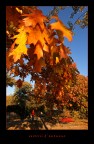 vestirsi d'autunno vestirsi d'autunno