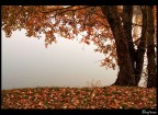 Autumn pt.13 Autumn pt.13