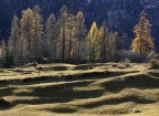 Val di Campo Val di Campo