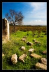 Le Rovine Le Rovine