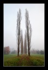 la dritta via la dritta via