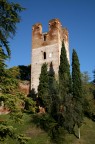 My Tower My Tower