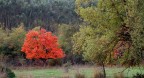 Rosso, all'improvviso. Rosso, all'improvviso.