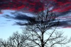 cielo infuocato cielo infuocato