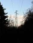 .:' Alberi Moderni ':. .:' Alberi Moderni ':.