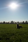 nel sole... nel sole...