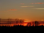 Alberi e tramonto Alberi e tramonto