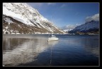 engadina (2) engadina (2)